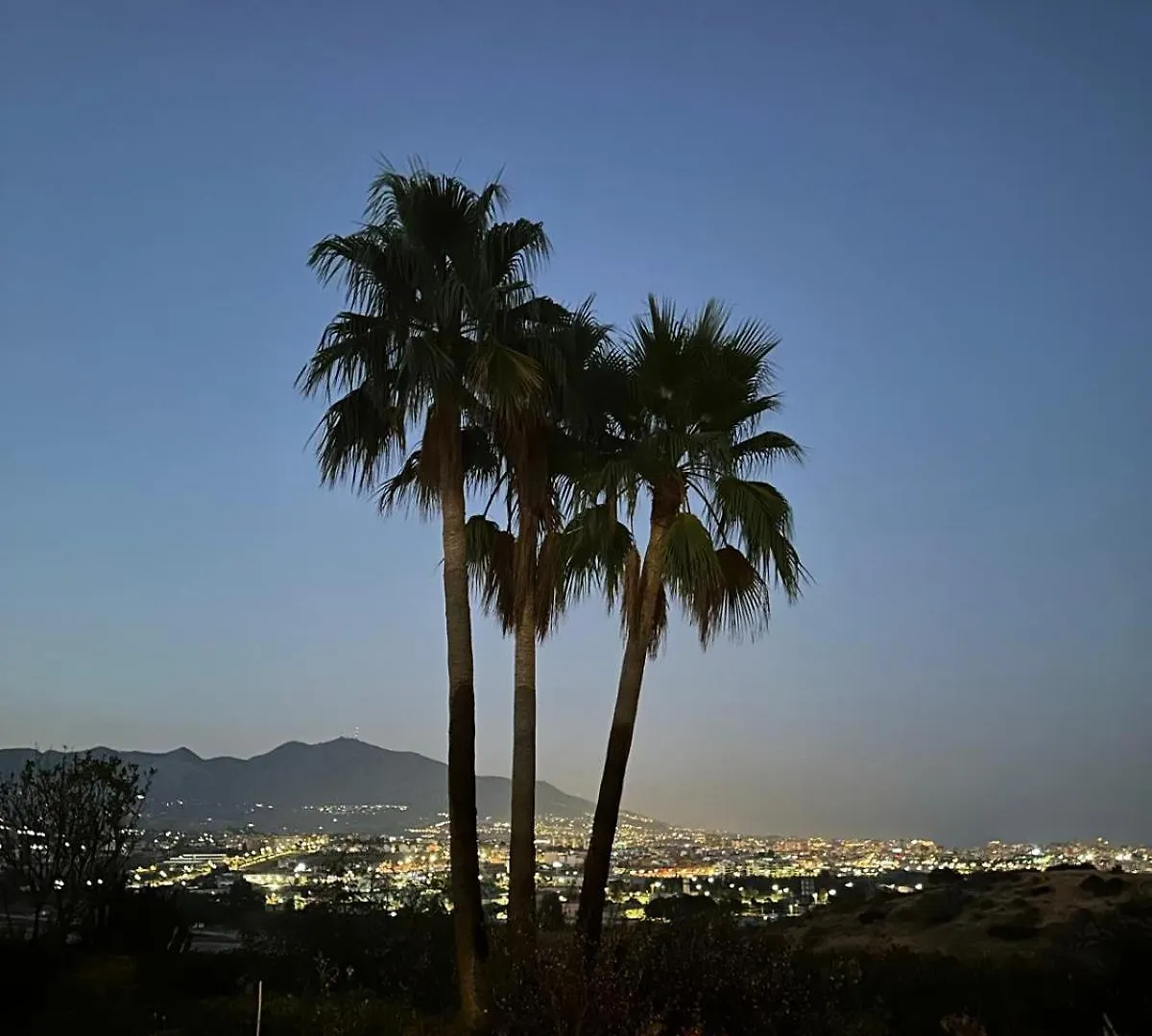 Los Iris Malaga Apartment